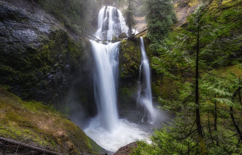 *** ONE TIME USE ONLY – READER’S LENS ***

Dale Johnson	
+12062256764
drjhnsn@gmail.com
Burien, WA
Gifford Pinchot National Forest, WA

April 3, 2025

The gate to the trailhead had just been opened so I made my way out to Falls Creek Falls in the Gifford Pinchot National Forest. Taken with a Nikon Z7 II with a 14 to 30 mm lens.

I accept
@dalejohnsonphoto
Threads – dalejohnsonphoto
4/15/2025 17:34:58
2qsmijj0vdpvanutkf42qsmijjfru4s3
