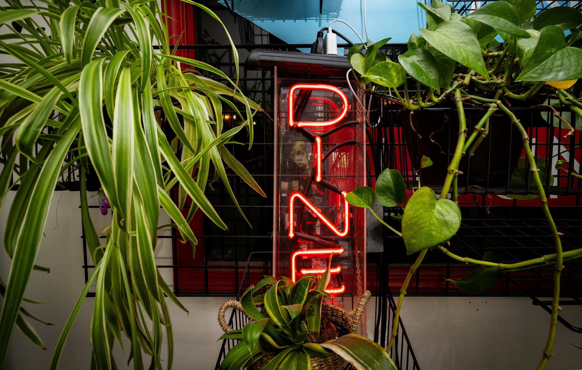 Greenwood diner's eclectic vibe makes it a neighborhood star | The