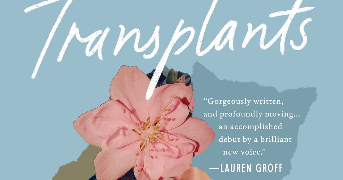 Daniel Tam-Claiborne’s ‘Transplants’ tackles the complexities of identity