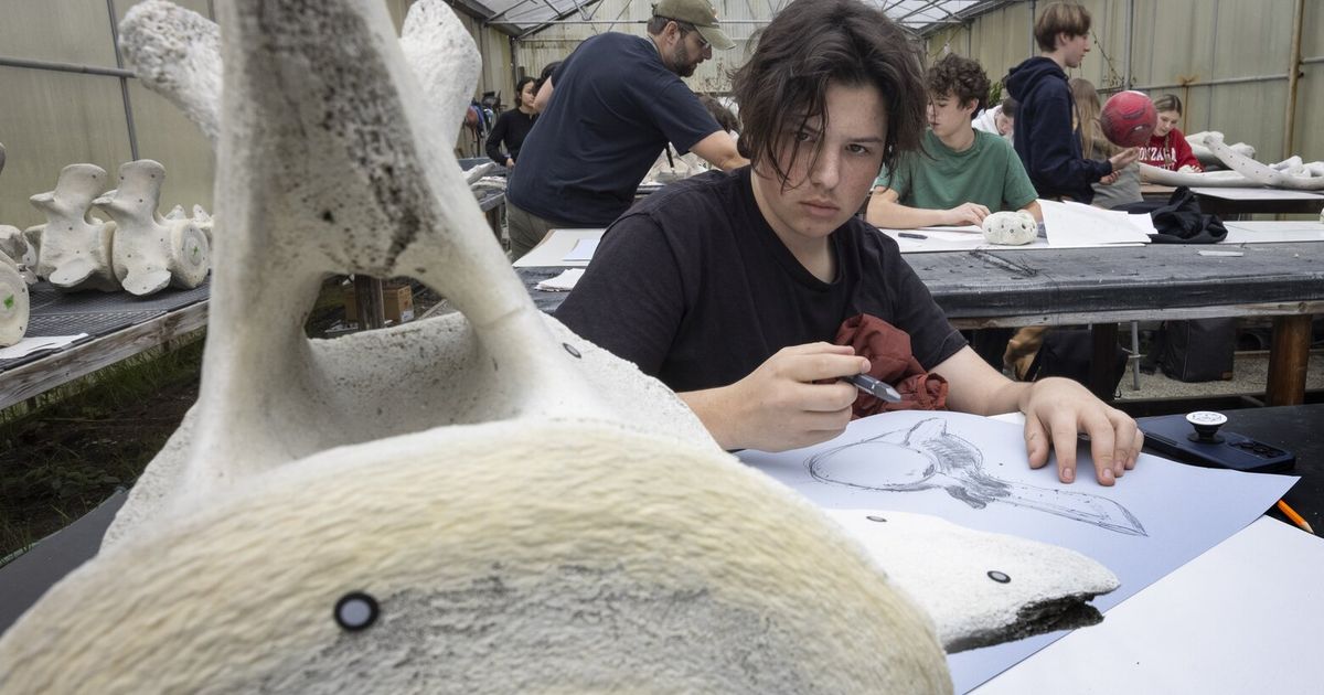 A whale washed ashore on Vashon Island. Now these high schoolers are ...