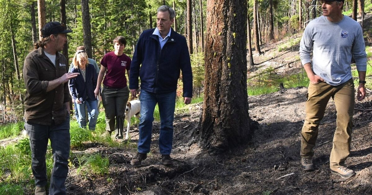 WA lawmakers slash wildfire budget in half