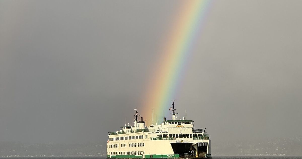 Reader’s Lens captures a quintessential Seattle moment
