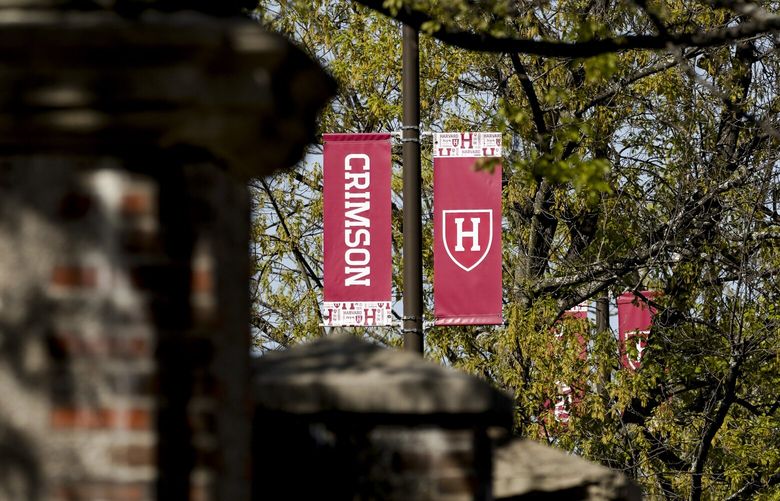 Banners displaying Harvard University’s athletic shield in Boston, May 1, 2025. Harvard could choose to either keep fighting or seek a deal with the administration. Its leaders are starting to realize that any path will very likely change the identity of the school. (Sophie Park/The New York Times) XNYT0227 XNYT0227