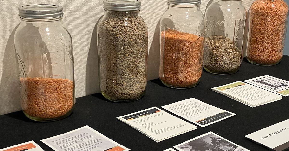 WSU exhibit details the history and versatility of the much-maligned ...
