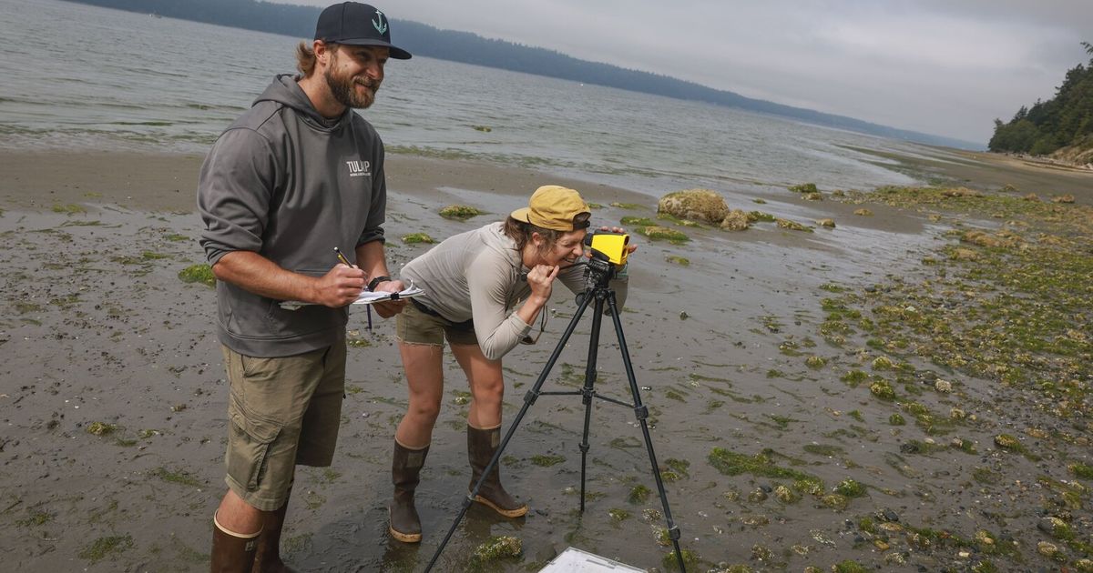 Trump administration pulls plug on UW climate research partnership