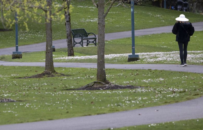 A woman walks along a path in Gene Coulon Memorial Beach Park in Renton, Monday, April 7, 2025.  Shortly later, rain started falling and the number of walkers decreased dramatically.  More rain is expected on Tuesday, but it is expected to be dry Wednesday. 229731