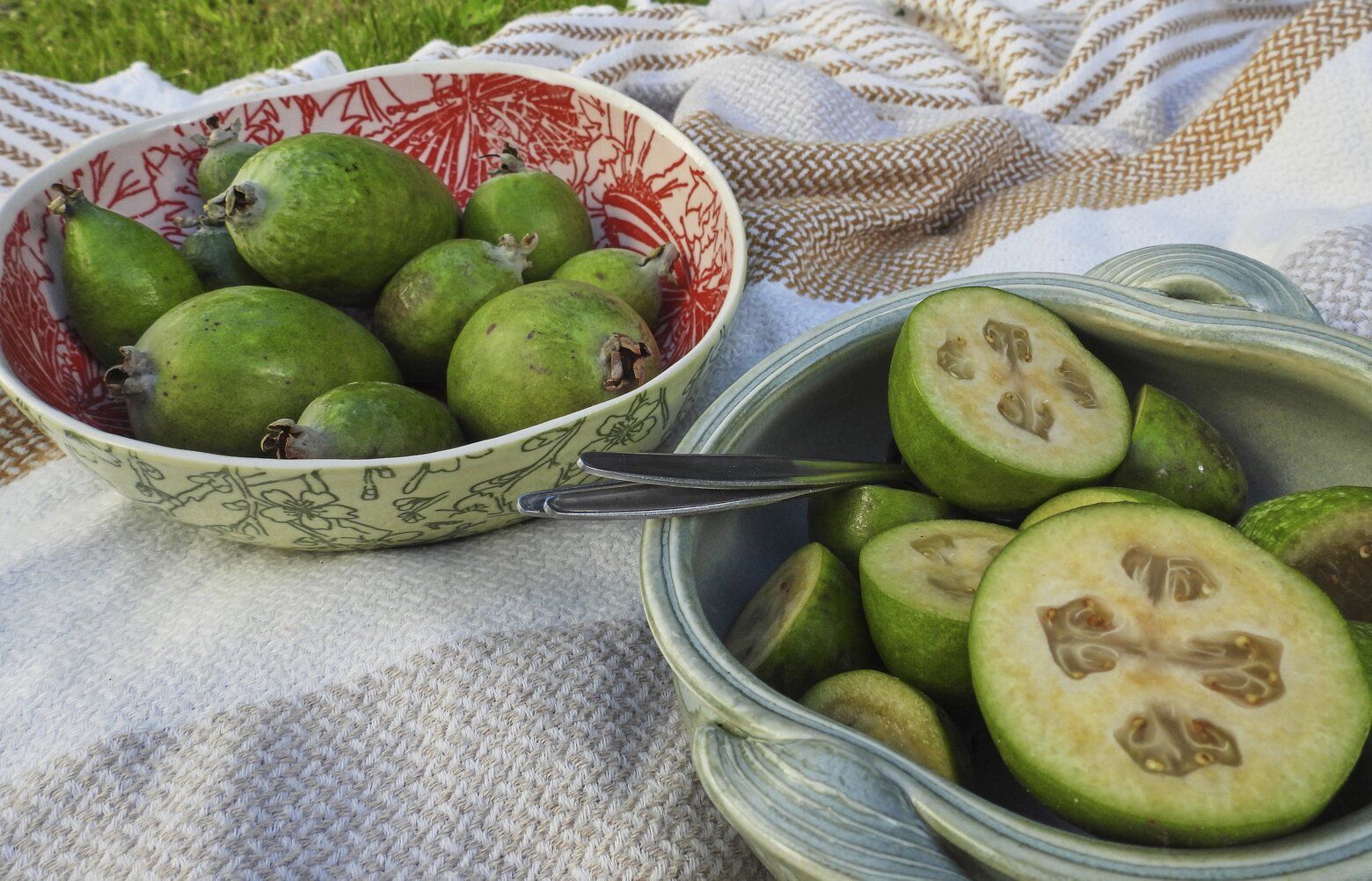 New Zealand's unofficial fruit is the feijoa, not the kiwi. And