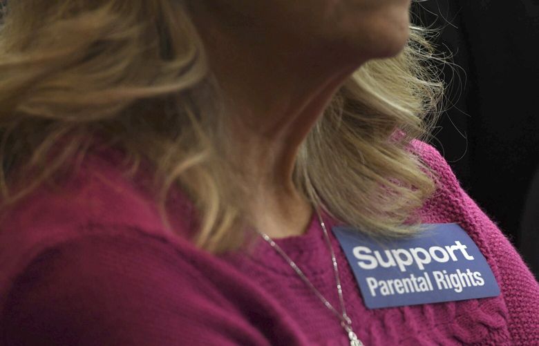 FILE – People attend a Senate committee hearing at the Capitol in Tallahassee, Fla. (AP Photo/Aileen Perilla, file) NYPS211 NYPS211