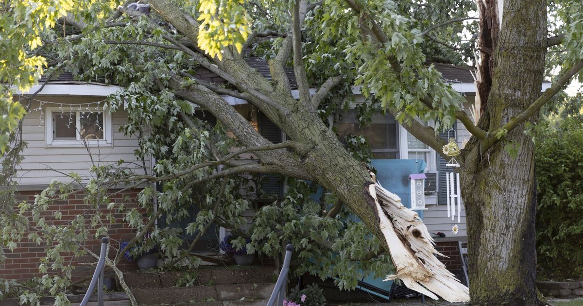 Severe thunderstorms down trees, knock out power to thousands across