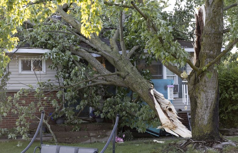 A tree lays on a house in Dorr, Mich., after a severe storm ripped across Michigan the night before, on Friday, May 16. 2025.  (Neil Blake  /The Grand Rapids Press via AP) MIGRA506 MIGRA506