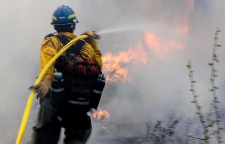 Francisco Martinez sprays a mature tree with water to keep it from burning during a prescribed burn training academy on Friday, May 2, 2025, near Roslyn.