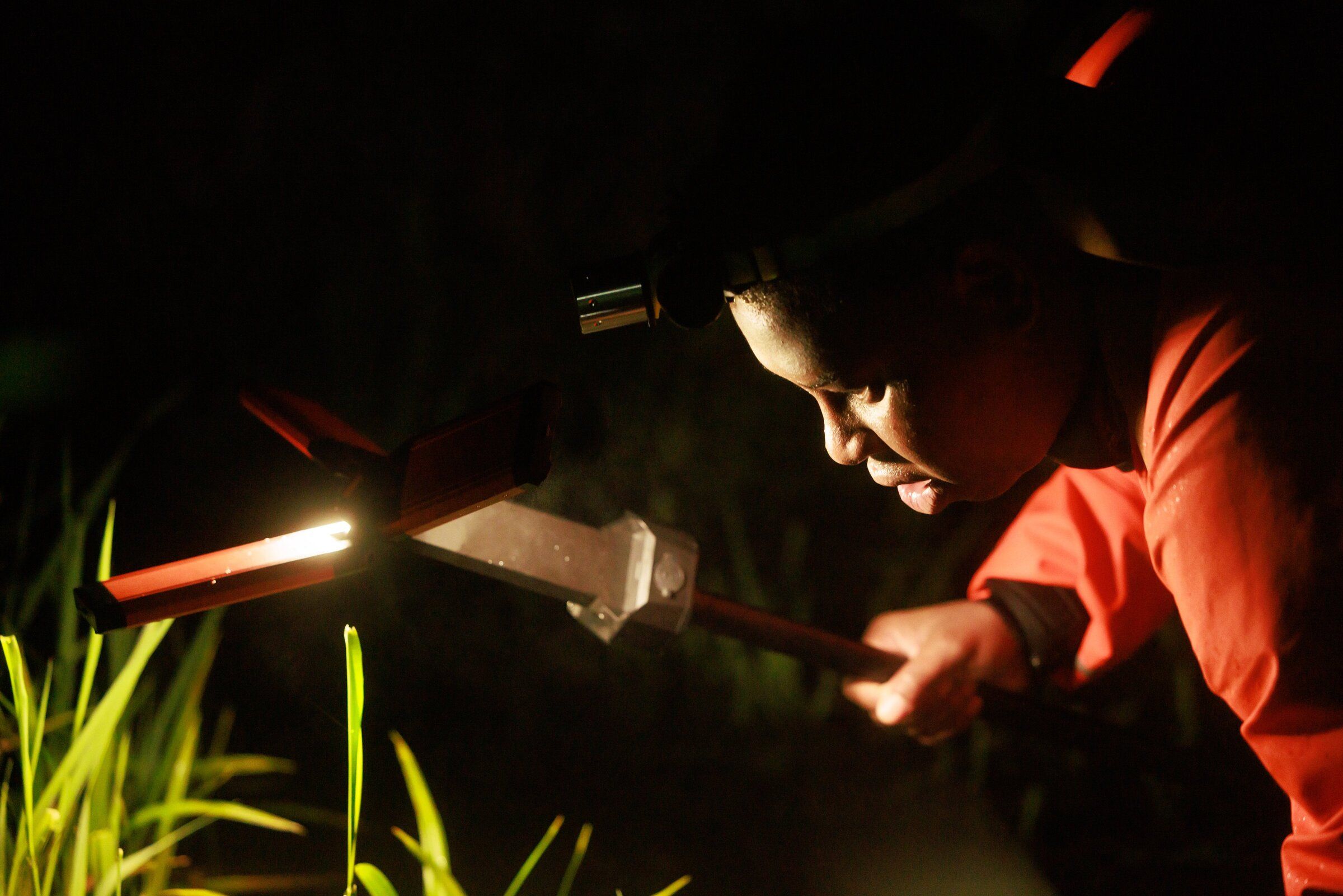 With a light and GoPro Camera, Ashley Townes counts juvenile Chinook salmon swimming in  Mapes Creek at Be'er Sheva Park in Rainier Beach. A decade ago, Mapes Creek was buried underground. A portion of the waterway has been restored to the surface, and today it drains naturally into Lake Washington. 229701 (Erika Schultz / The Seattle Times)