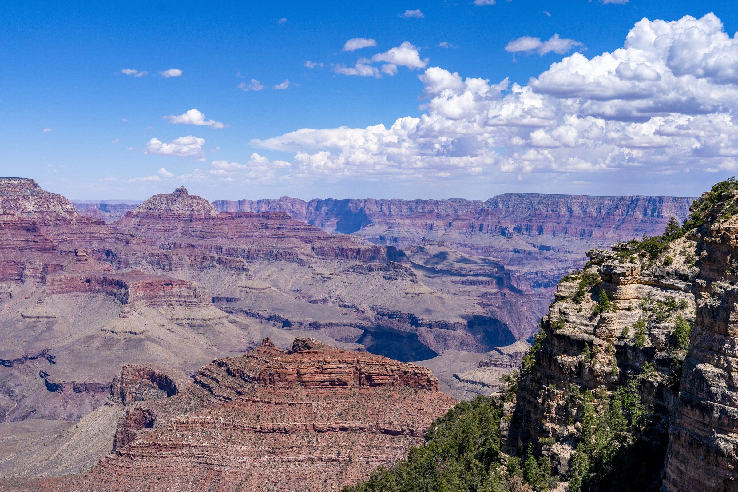 Olympia man, 74, dies during Grand Canyon hike | The Seattle Times