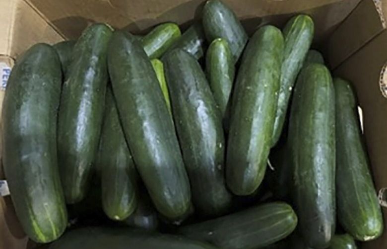 FILE – This undated photo provided by the U.S. Food and Drug Administration shows cucumbers recalled for salmonella.   (U.S. Food and Drug Administration via AP) NY114 NY114