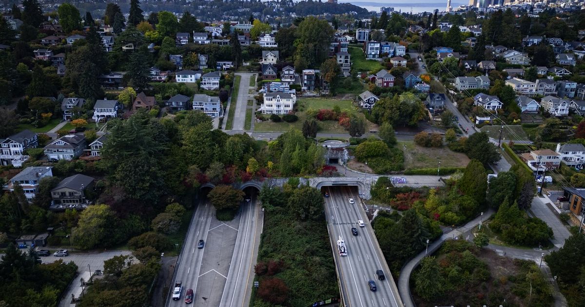 Seattle Metropolis Council committee advances housing plan with extra density