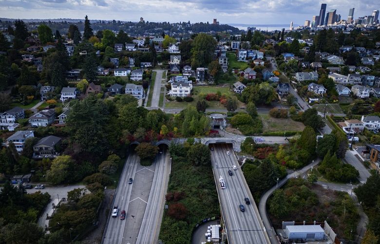 Interstate-90 disappears into a tunnel underneath the Mt. Baker neighborhood, seen from the air looking west, Wednesday, Oct. 2, 2024, with downtown Seattle in the background at right. The homes off to the right are in Leschi.