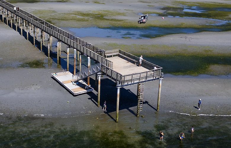 Seen from the air, it is low tide at Indianola’s 900-foot historic ferry dock, Tuesday, July 23, 2024, in Kitsap County. The reason the dock is so long dates back to 1916 when the original wooden dock was built to accommodate steam ferry boats during low tides. As reported in 2019, these early boats were part of the “Mosquito Fleet,” which took people from Kitsap County to Seattle, among other destinations. In 1938 the dock was widened to two lanes, for cars, until 1951 when ferry service ended, according to a sign at the dock. After a major storm in the 1980s, the deck was replaced and the iconic landmark remains a beloved gathering spot in the community here.