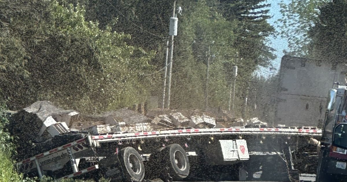 Millions of bees escape, start stinging after crash