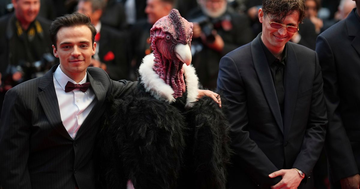 Bird man on red carpet leaves Cannes squawking