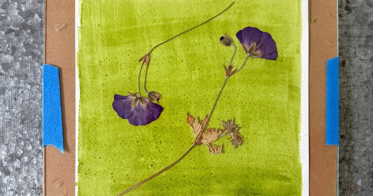 Paint with the sun, spinach to create a garden of anthotypes