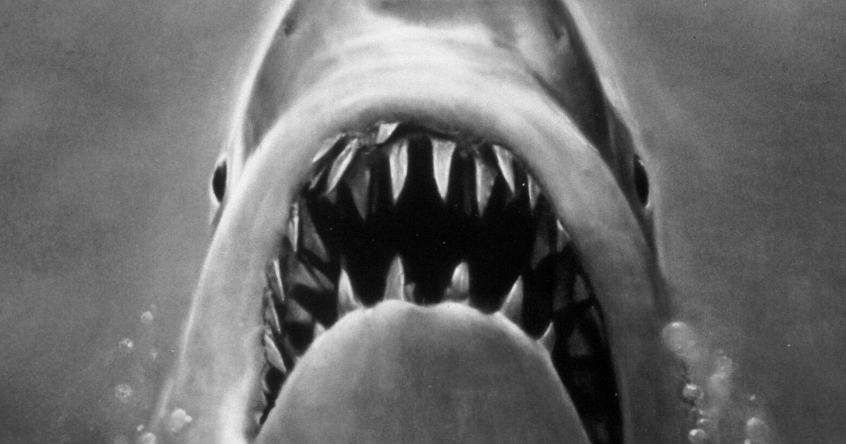 ‘Jaws’ at 50: Our critic’s complicated love of shark movies