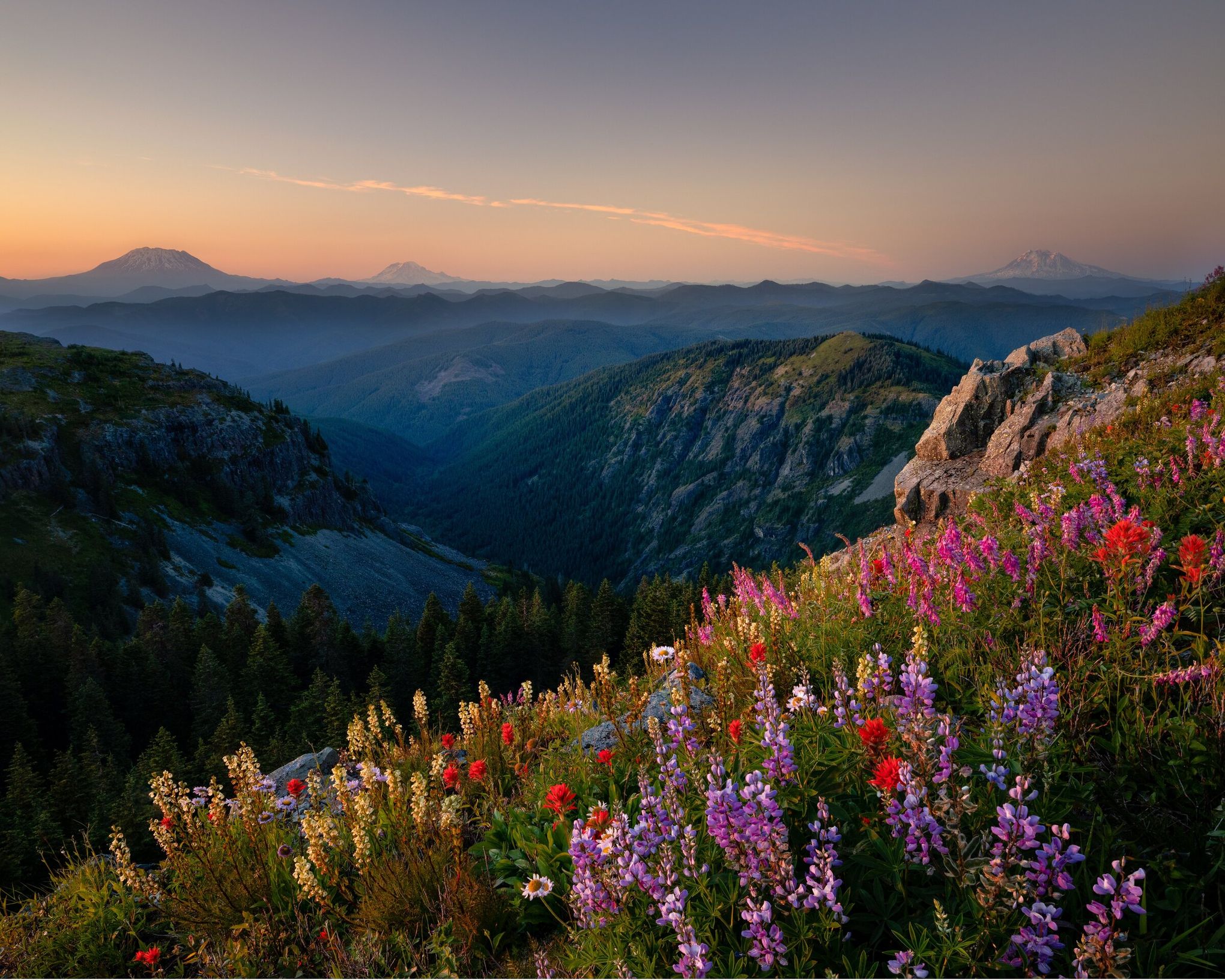 6 low-elevation WA hikes to do in June | The Seattle Times