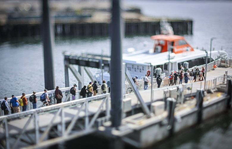 Passengers wait to board a water taxi on Pier 50 Wednesday afternoon on the waterfront in Seattle, Washington, on June 11, 2025. 230351