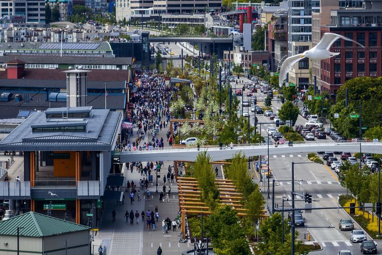Waterfront Park runs for more than a mile from Overlook Walk, in the distance, past Colman Dock, in the foreground, toward the stadiums. (Ken Lambert / The Seattle Times).