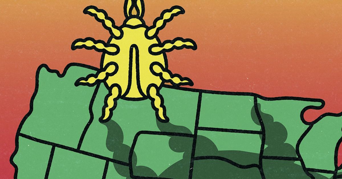 The Tick Situation Is Getting Worse. Here’s How to Protect Yourself ...