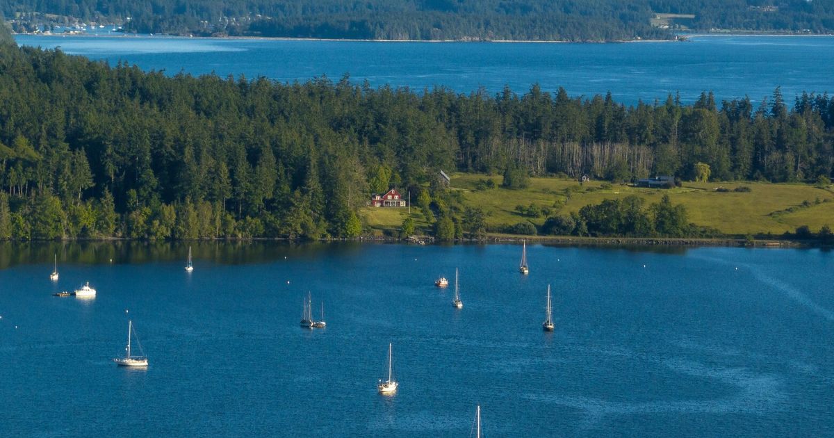 Seattle weather: Sunshine to return after a weekend of rain