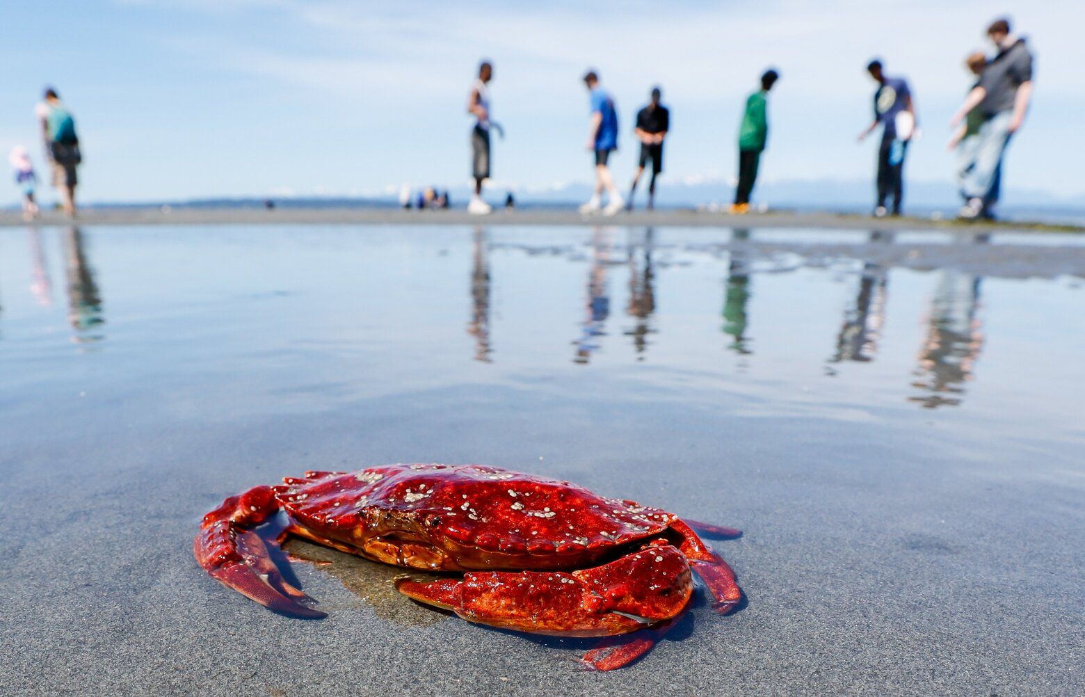 06242025_lowtide62425-