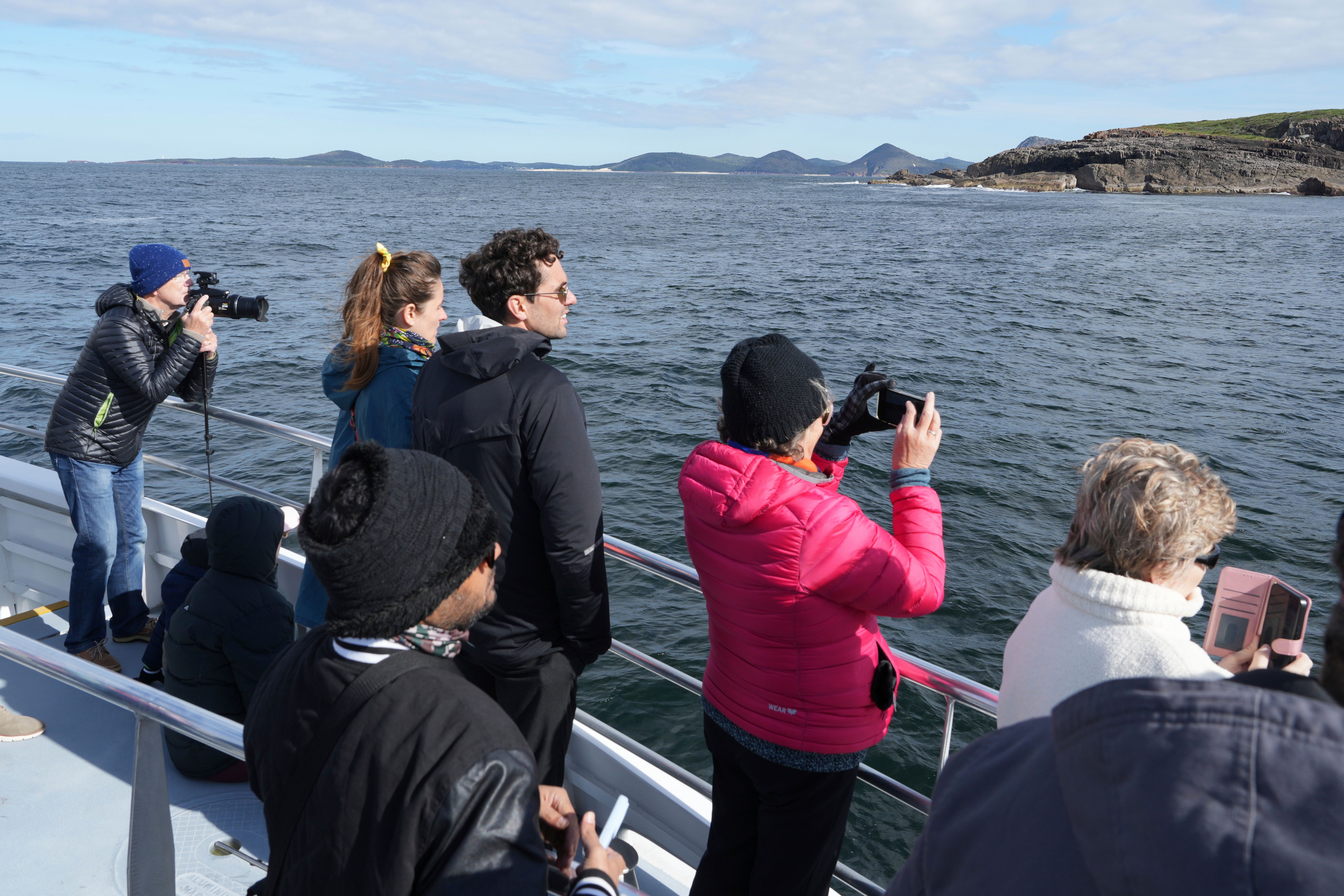 Commuter traffic stops for whales on Australia's humpback highway