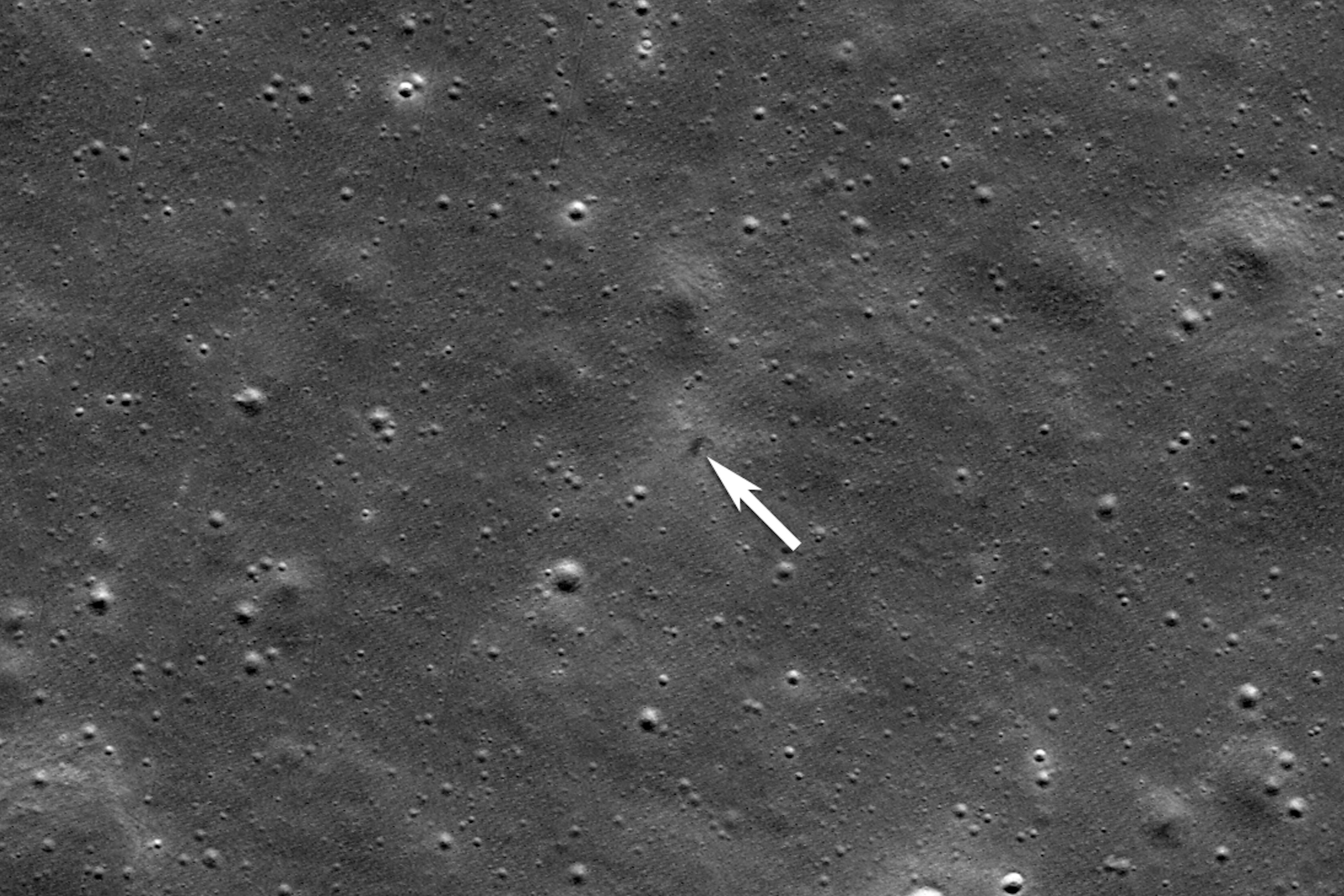 Moon　 social