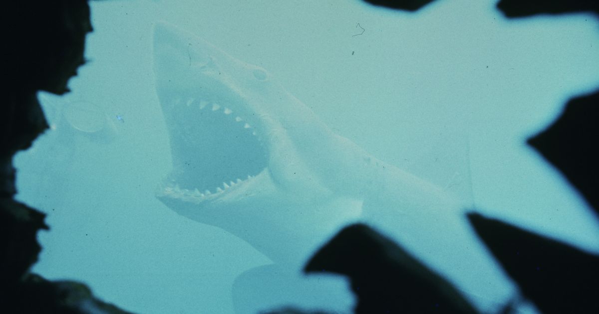 Think you know ‘Jaws’? Test your knowledge with this trivia ahead of the movie’s 50th anniversary
