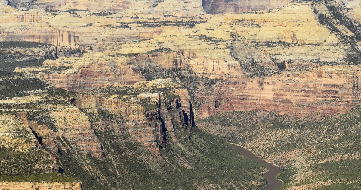 New dog-sized dinosaur unearthed from Colorado rock formation - The Seattle Times