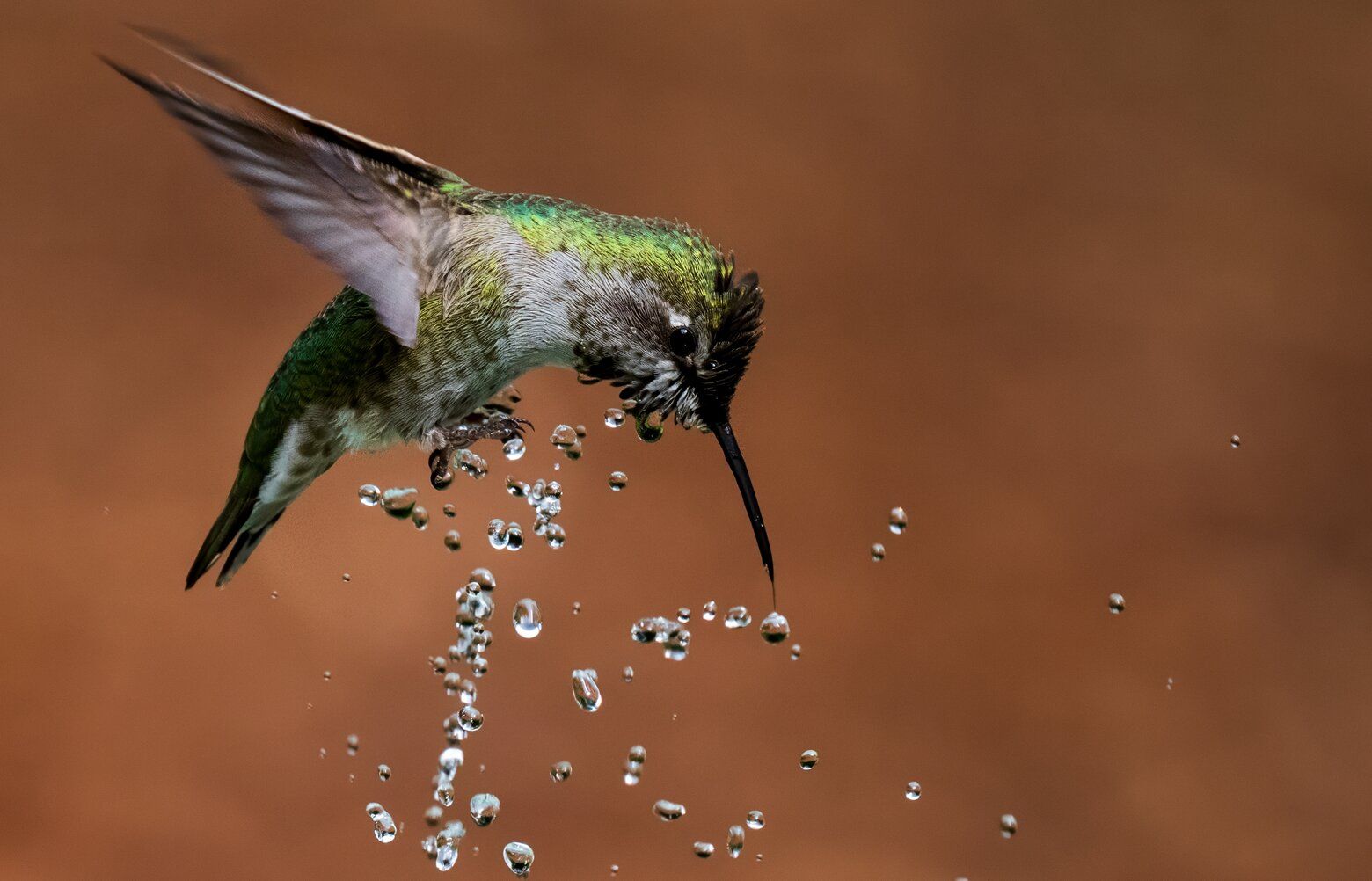 07022025_tzr_tzr_191008.jpg?d=