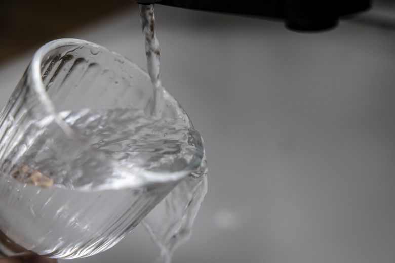 Pizza And Hydration Myths: Debunking Common Misconceptions Fast