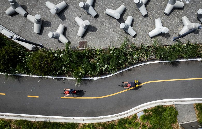 Cyclists use the bike lanes through landscaping, while passing Buster Simpson’s artwork called “Anthropomorphic Dolos,” part of Seattle’s Waterfront Park, Sunday, May 25, 2025. The artwork is part of Simpson’s installation called “Migration Stage” which runs along the Park Promenade between the Washington Street Boat Landing Pergola and Colman Dock. Also seen are some of the “Seabearers,” part of the art installation, at left, obscured by a pole.