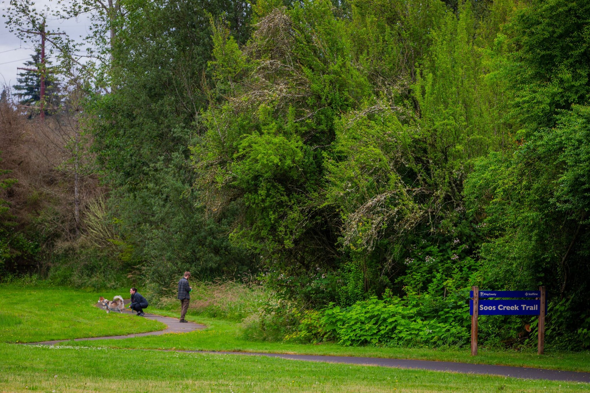 The Seattle Times editorial board recommends: Vote 'yes' on King County  parks levy | The Seattle Times, image size:2040x1360