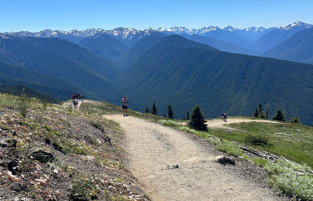 Park Closures and Ongoing Investigation