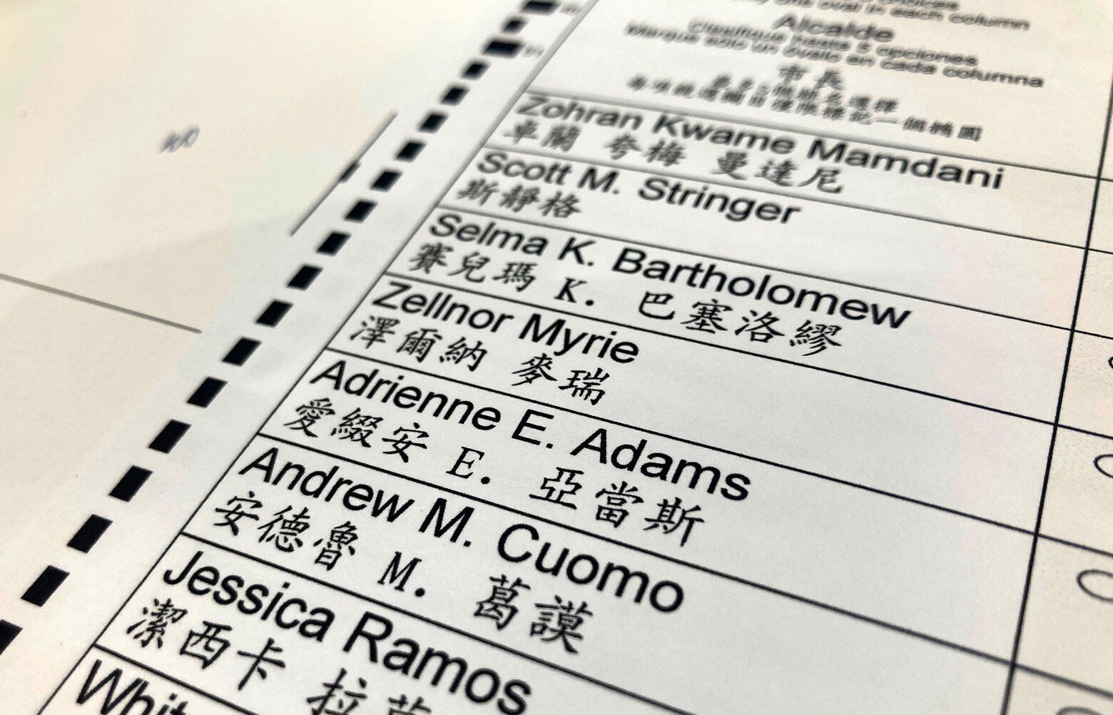 洋書 Voting and Collective Choice Collective Choice and Social Welfare — Harvard University Press