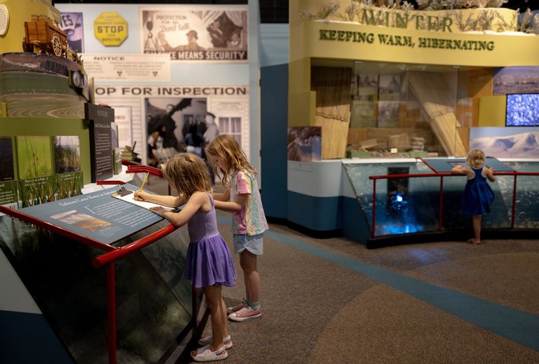 Children take notes while participating in a scavenger hunt at the REACH Museum on July 8 in Richland. (Nick Wagner / The Seattle Times)