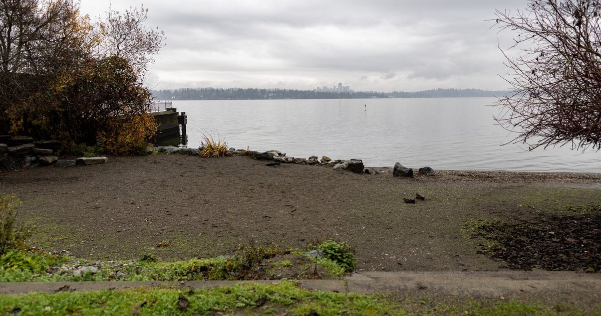 Seattle pitches plan to preserve, limit nudity at Lake Washington park