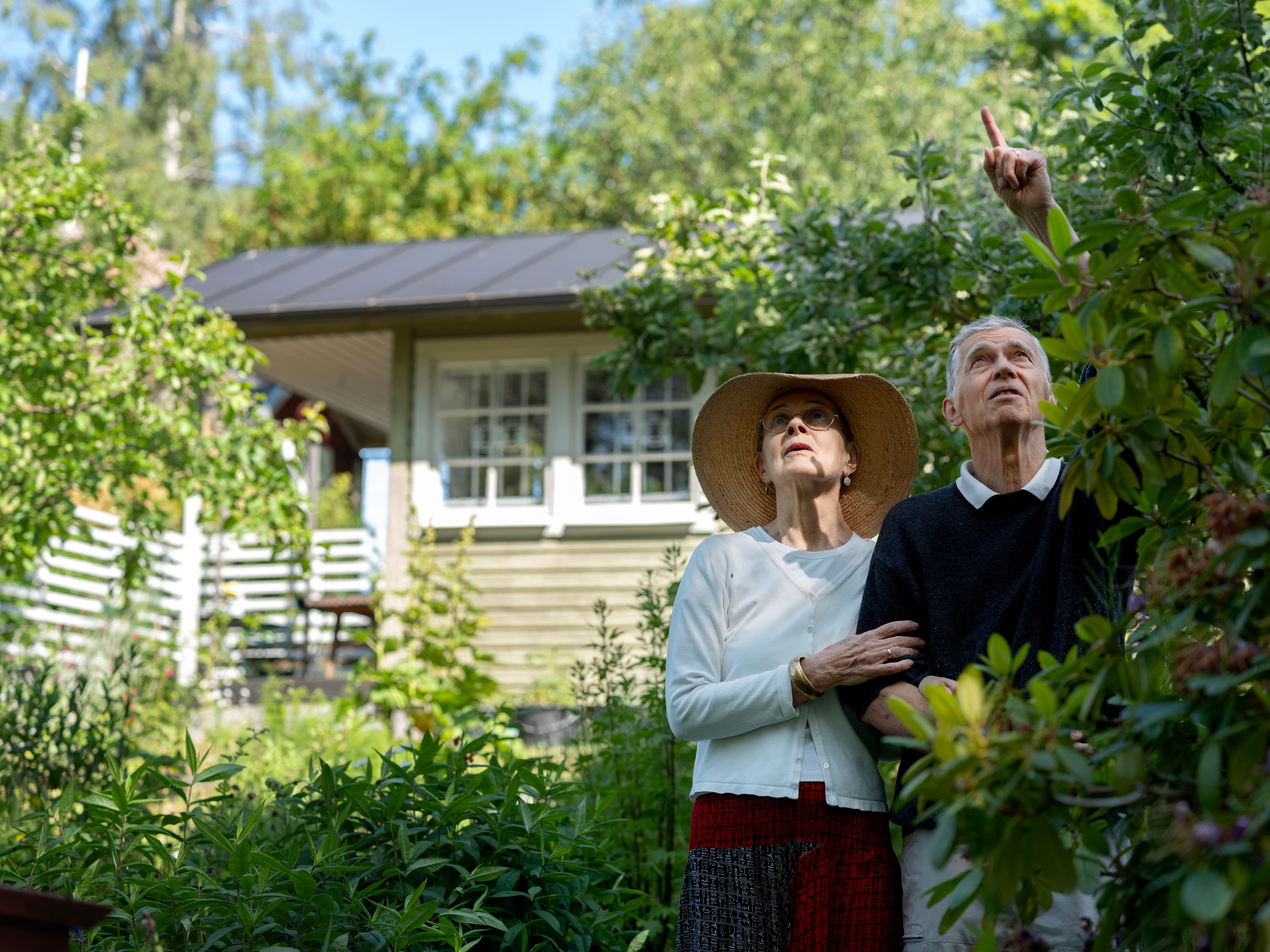 Sweden's Secret to Well-Being? Tiny Urban Gardens. | The Seattle Times