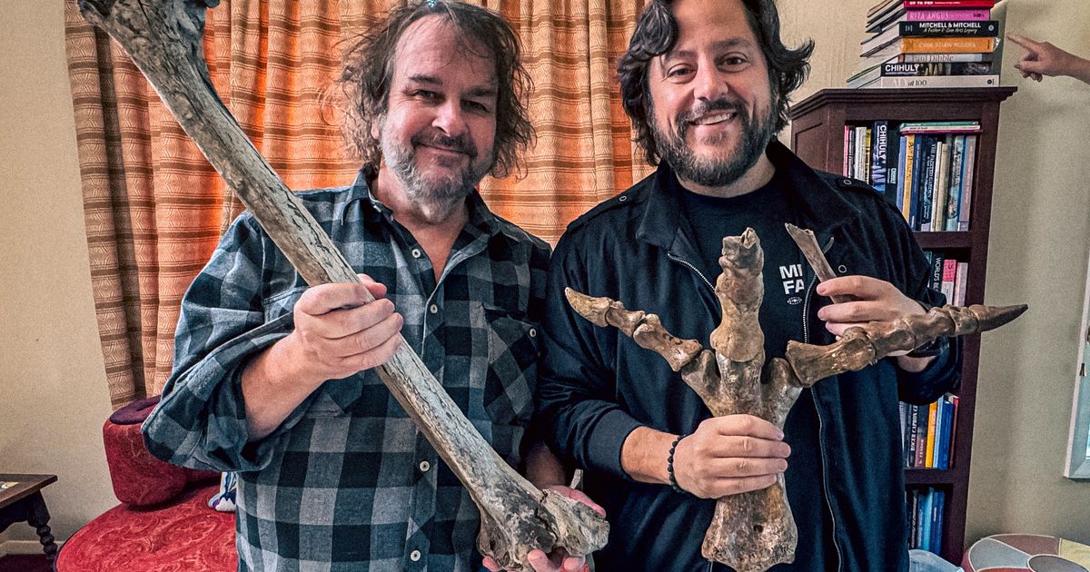 ‘Lord of the Rings’ director backs long shot de-extinction plan, starring New Zealand’s lost moa