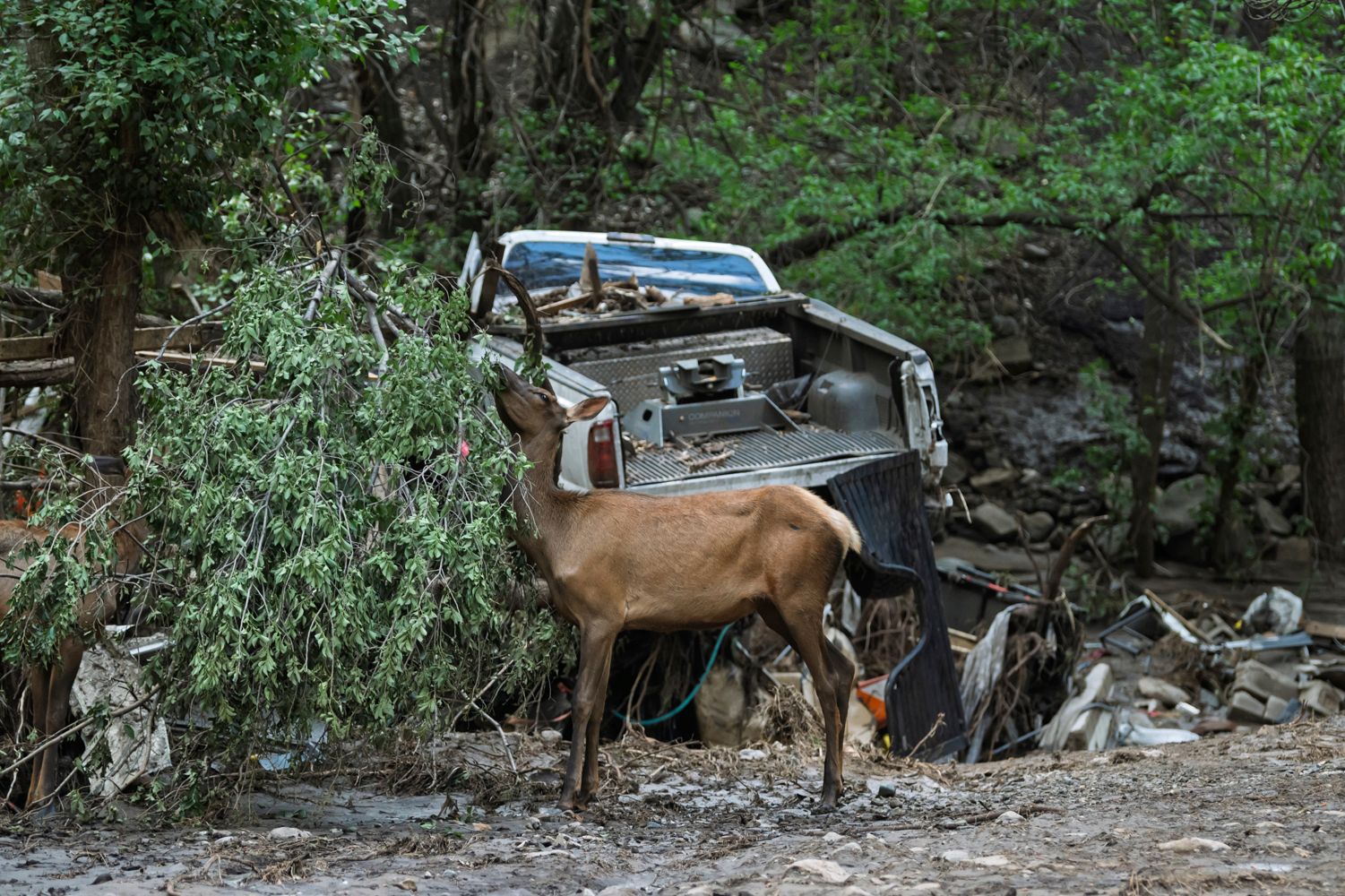 Flash flooding that killed 3 leaves New Mexico village heartbroken