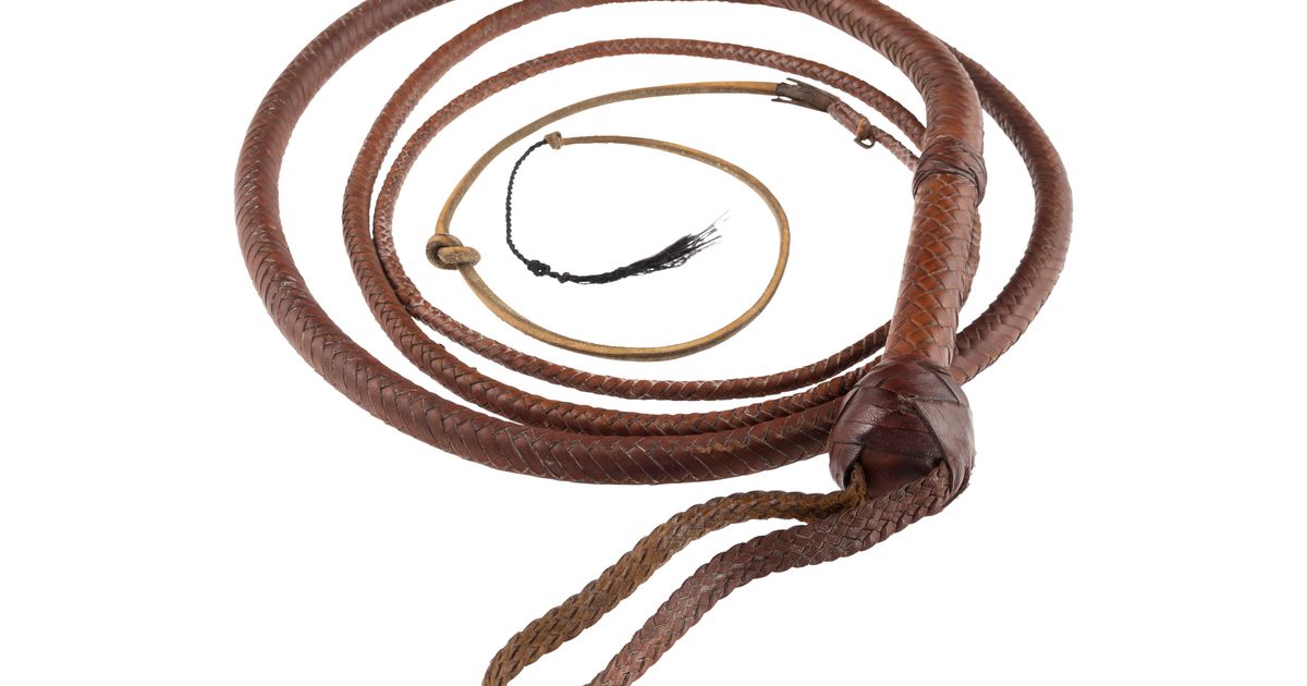Indiana Jones whip snaps up $525,000 at auction after ‘Citizen Kane’ sled goes for $14.75 million