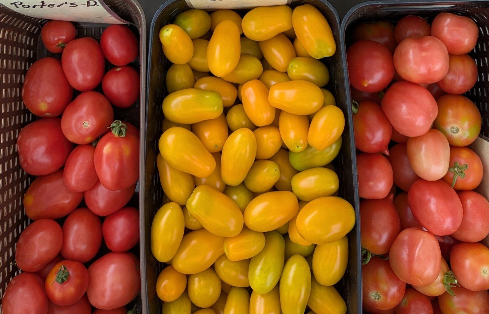 07202025_tzr_tzr_212339.jpg?d=