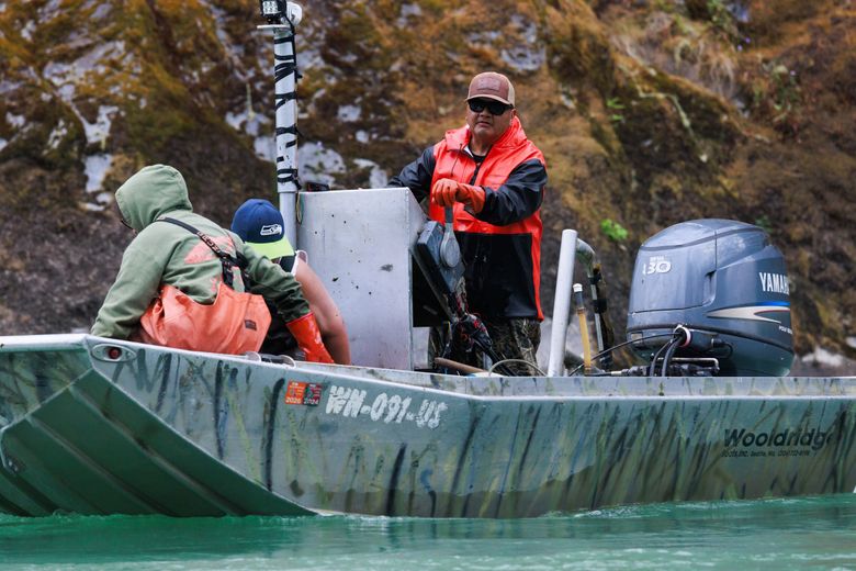 Scott Schuyler, standing, policy representative for natural and cultural resources for the Upper Skagit Indian Tribe, fishes for sockeye with relatives on the Skagit River. (Erika Schultz / The Seattle Times)