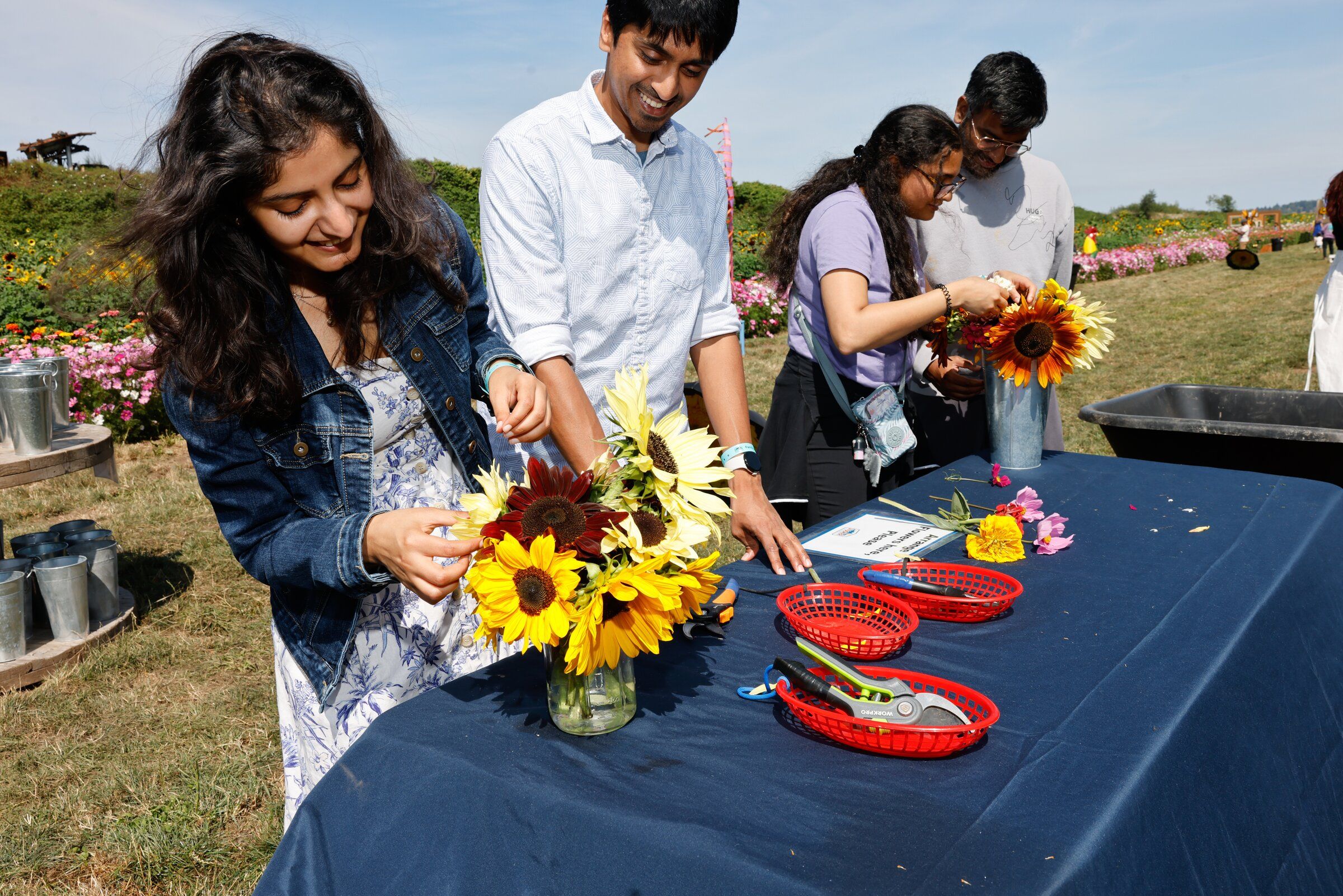Sunflower Festival in Snohomish makes for perfect summer portraits
